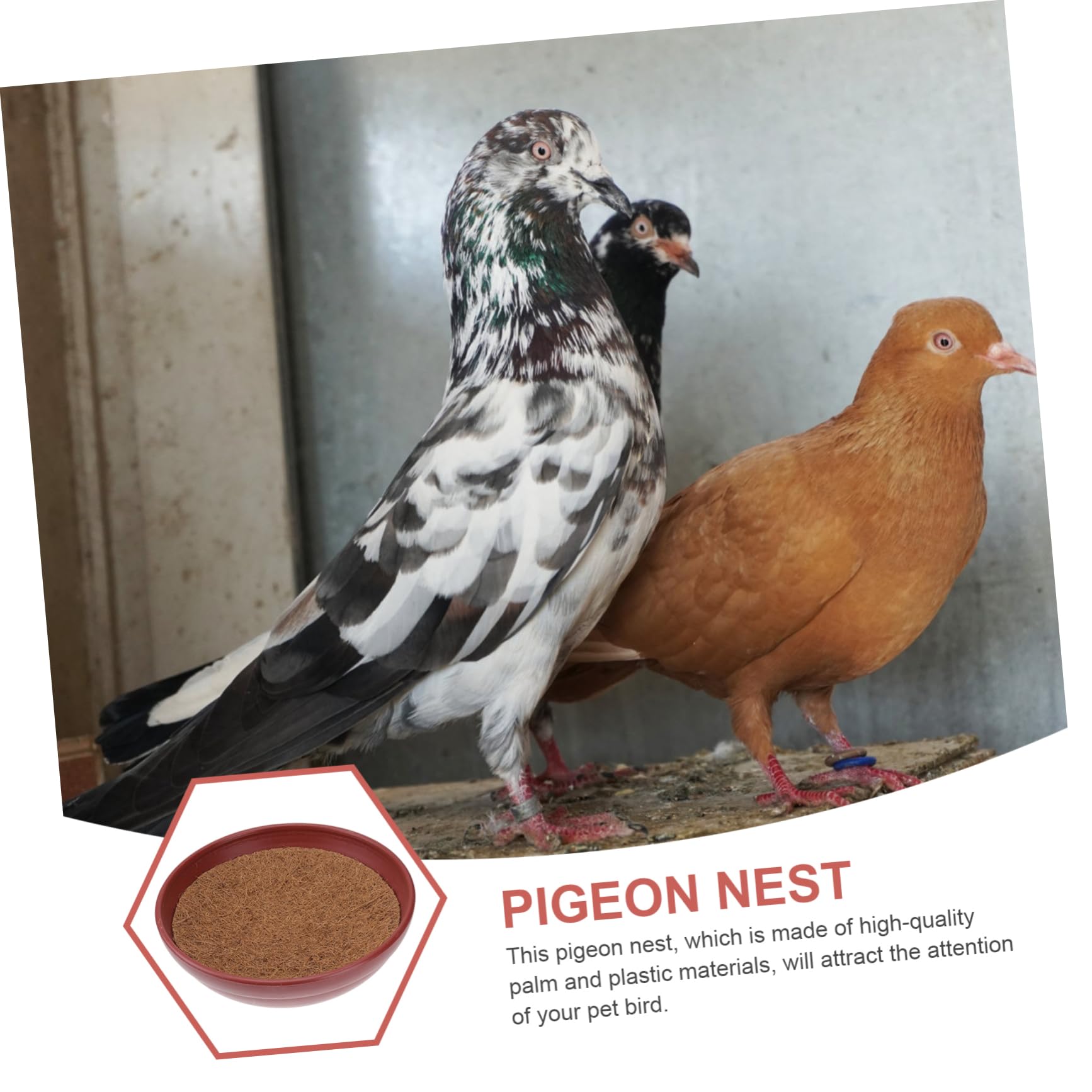 Nid de Pigeon en Plastique, Lot de 3 Sets de Sets de Sets pour Oiseaux