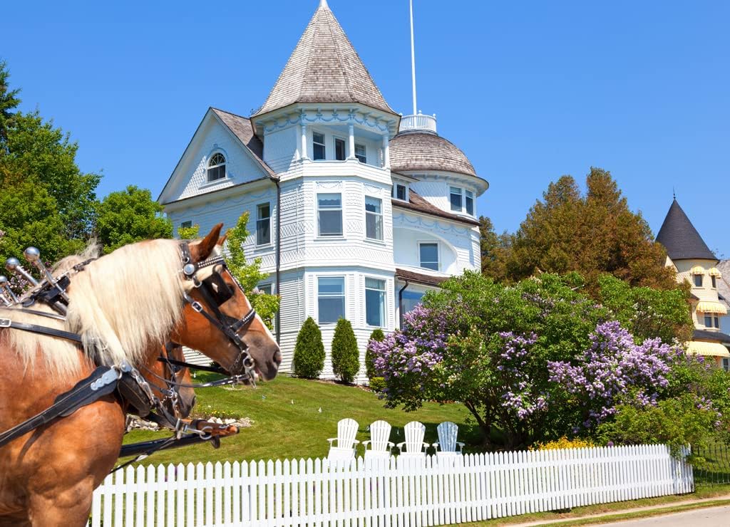 Noah Jigsaw Puzzle Wedding Cake Cottage on West Bluff Road - Mackinac Island Michigan 1000 Pieces
