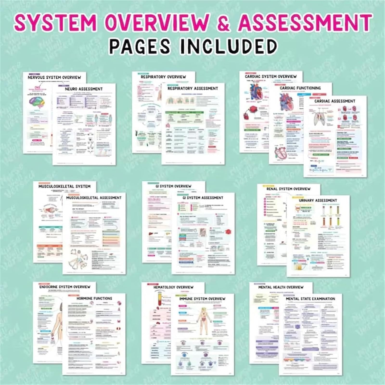 Cahier de notes Success Made Paper Tincasen Nursing School Bundle (2pcs)