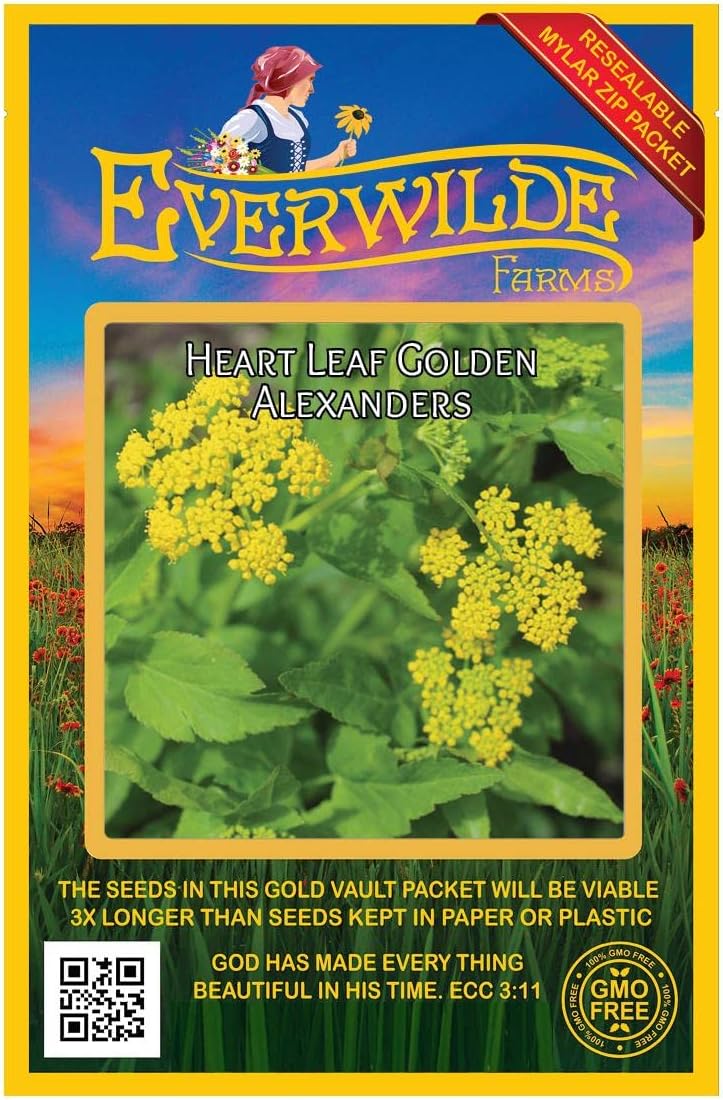 Everwilde Farms - 1 Oz Heart-Leaf Golden Alexanders Native Wildflower Seeds - Gold Vault