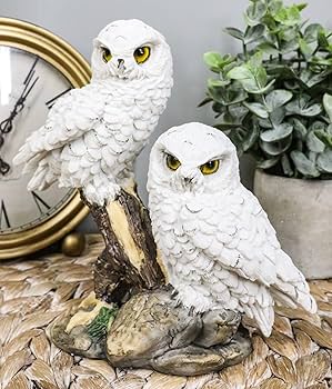 Amazon.co.jp: Ebros ミスティカル 2 ホワイト 雪 赤ちゃん フクロウ