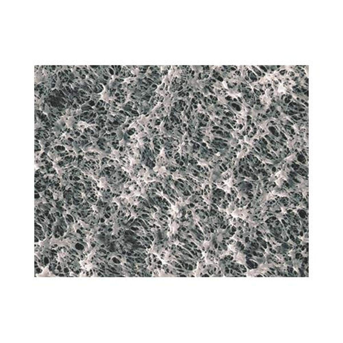 Advantec MFS H020A013A Hydrophilic Membrane Filter, 13 mm Diameter, 35 µm Thickness (Pack of 100)