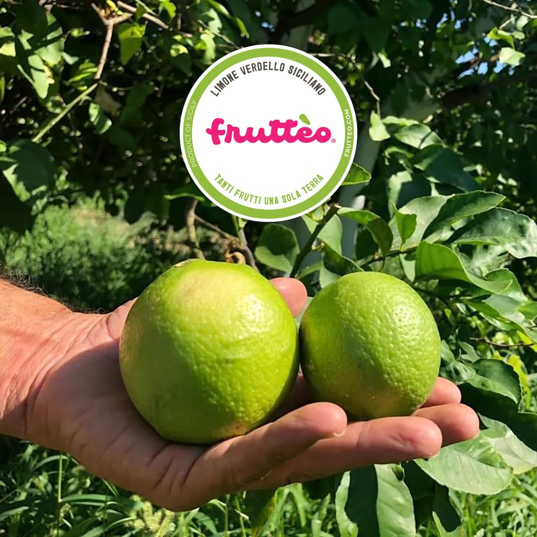 Limone Fresco 7 KG verdello Prodotto non Trattati Prodotto in sicilia Spedito 12/24 ore dalla raccolta (7KG) CALIBRO MISTO