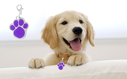 Sage Square Paw Footprint Shape Collar Tag Cum Pendant for Dog / Puppy / Kitten / Cat (Purple)