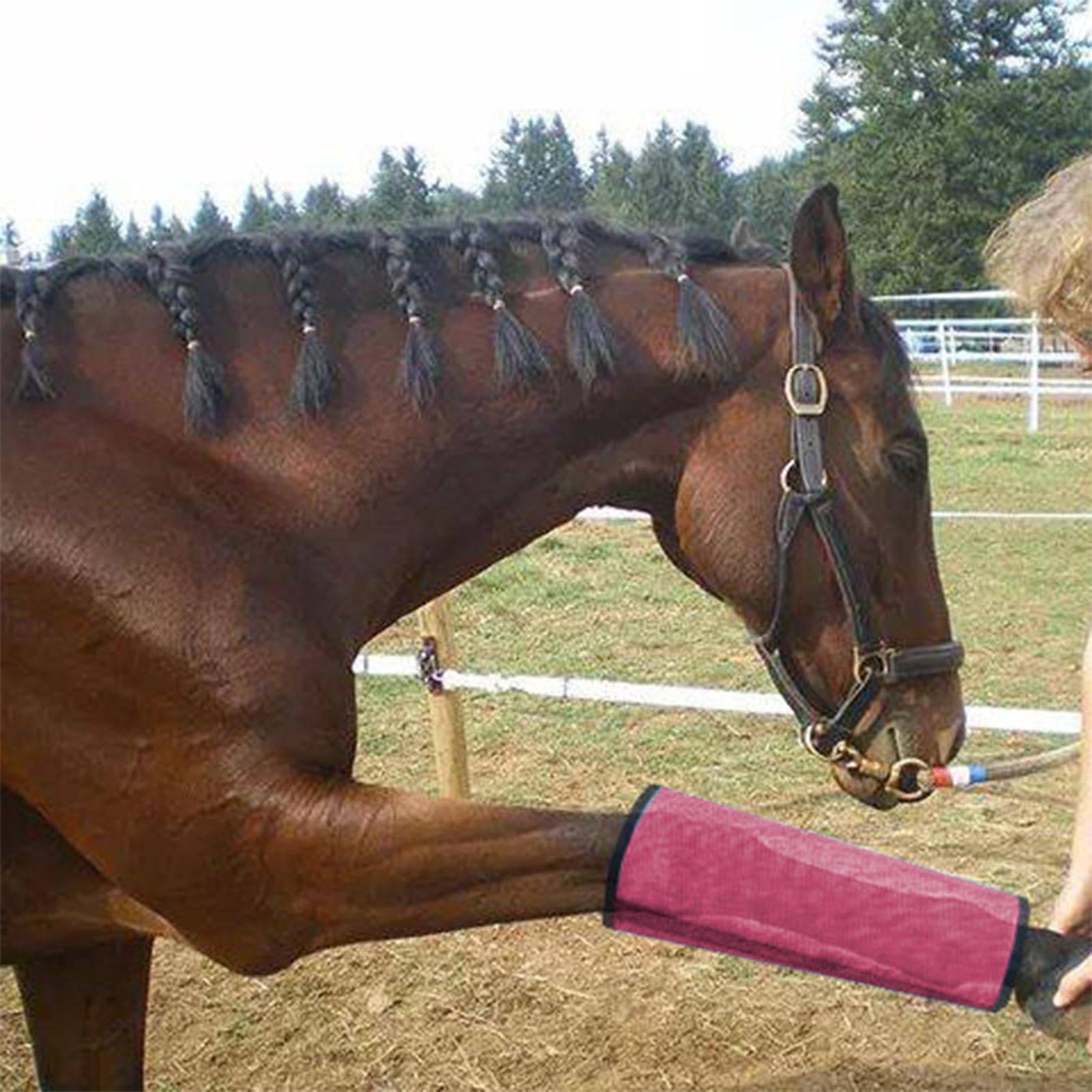 Bottes anti-mouches pour cheval, leggings réutilisables pour cheval, bottes de mouche, bottes de mouche durables, minimisent la fatigue des jambes et réduisent les coups de pied