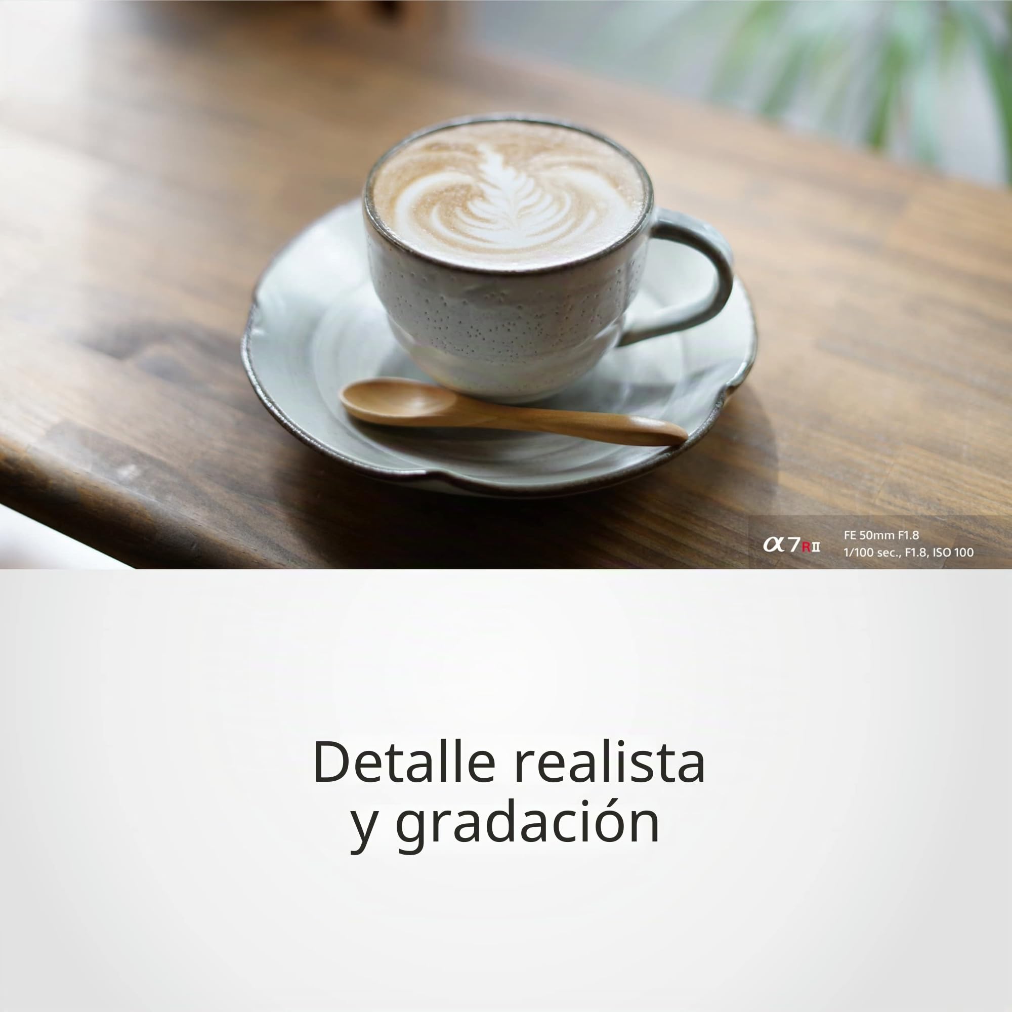 Sony SEL50F18F Lente distancia focal fija 50 mm F1.8 para Full Frame & APS-C, luminoso con autofoco silencioso, montura E, Ideal para retratos (compatible con serie A7, ZV-E10, A6400, A6700), Negro