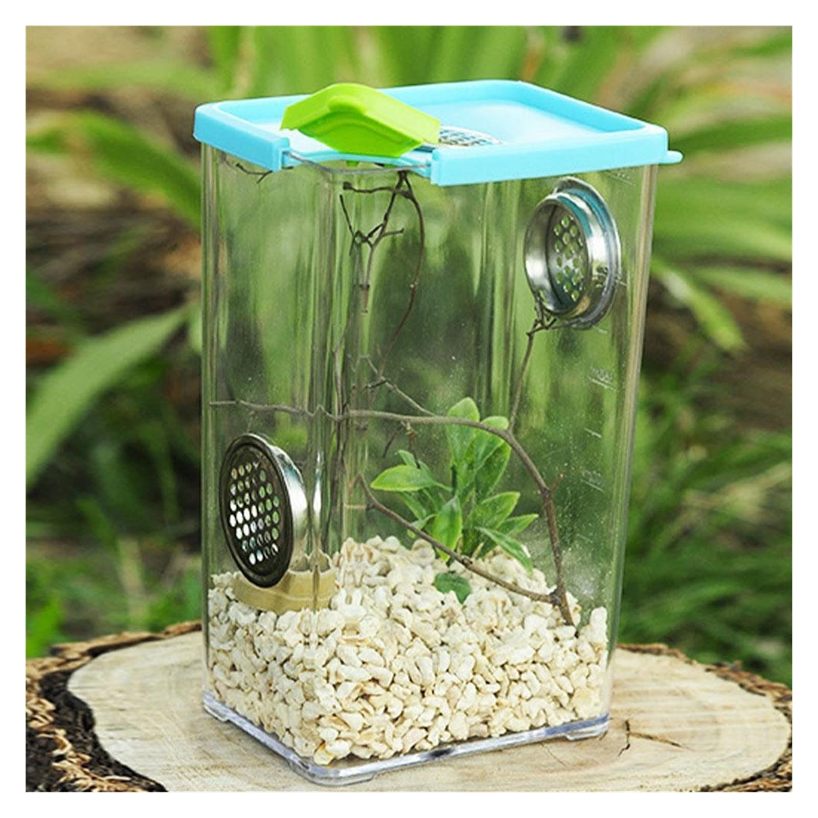 Reptilien-Terrarium, Transparente Acryl-Reptilien-Futter-Terrariumbox for Schildkröten-Eidechsen-Spinne