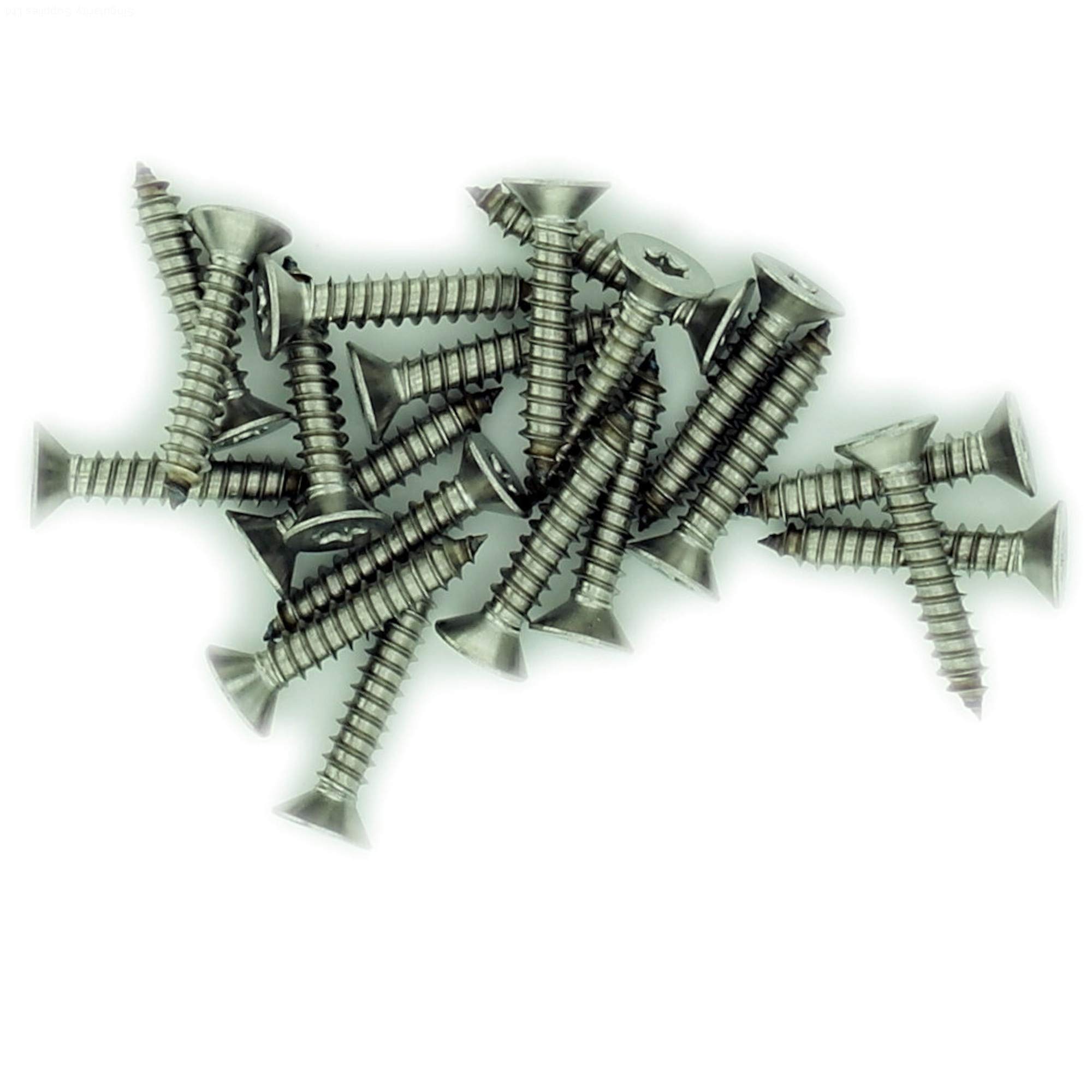 Singularity Supplies Silver No.10 X 1.25 (4.8Mm X 32Mm) Tx Countersunk Self-Tapping Screw - Stainless Steel (A2) (Pack Of 20)