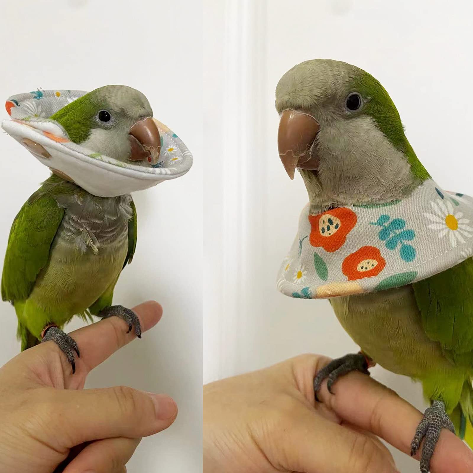 Feather Neck Collar Soft Bird Collar Anti-Plucking Cones For