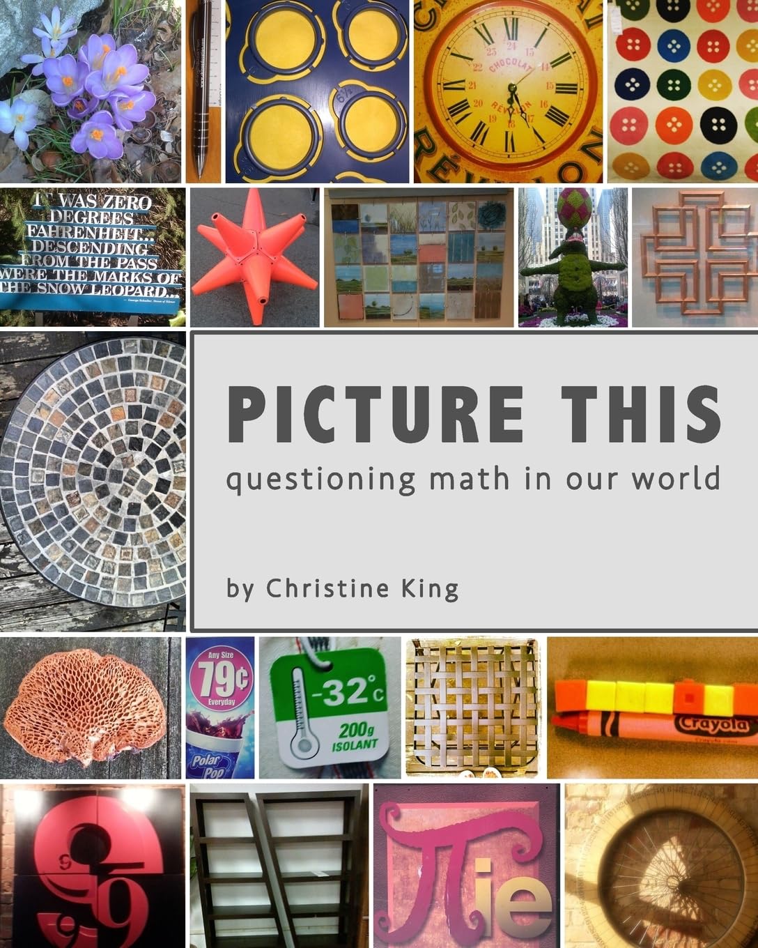Picture This: Questioning Math in Our World