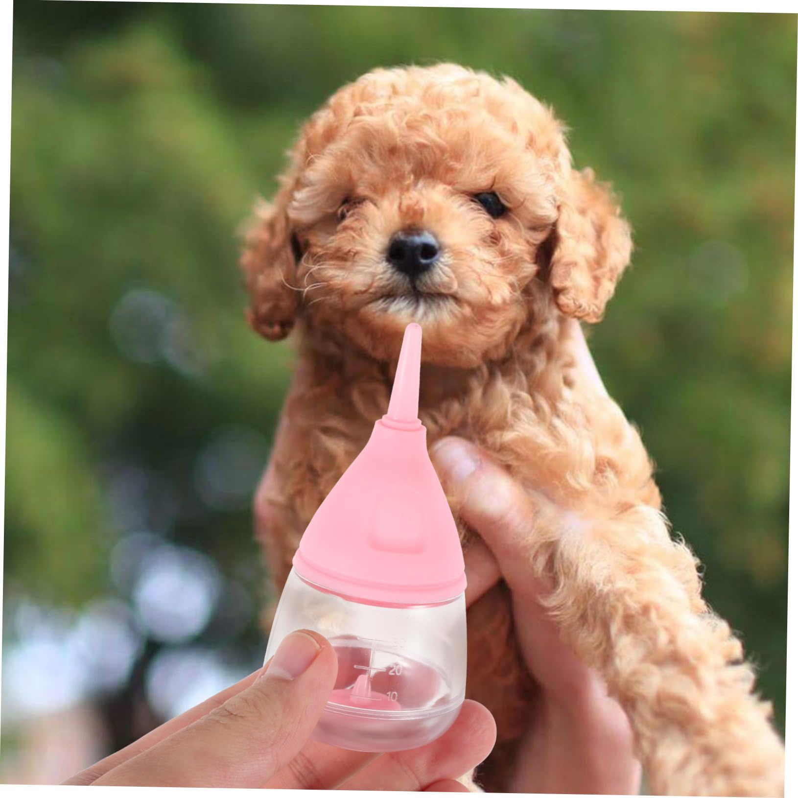 YARNOW 5 Botellas para Mascotas Gatitos Cachorros Biberones para Gatitos Biberones para Cachorros Biberones Pequeños para Mascotas Biberones para Gatitos Recién Nacidos Botella