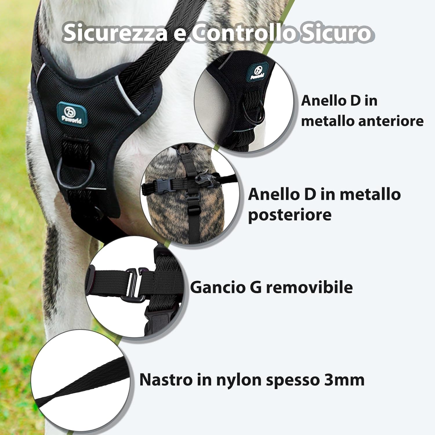 Paworld Pettorina Antifuga Cane, Pettorina Cane Taglia Media, Regolabile, Traspirante, Senza Soffocamenti, Allenamento alla Camminata (Nero,M)