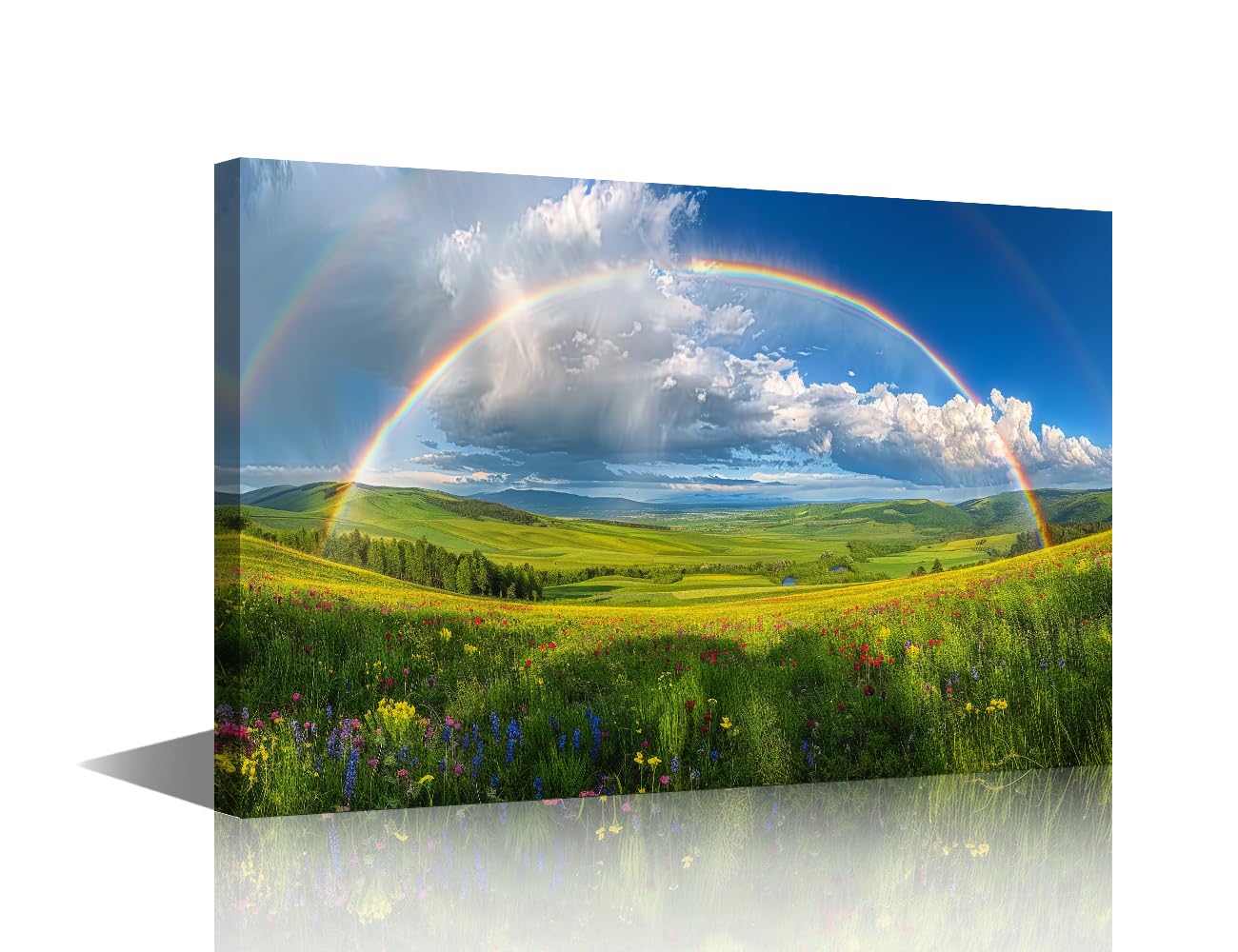 TISHIRON 1 Piece Grass Pictures for Bedroom Wall Decor Grassland Prints Wall Art Framed Rainbow Wall Art Canvas Artwork Wall Office Room Decor Gallery-Wrapped Posters and Prints 16x24inch