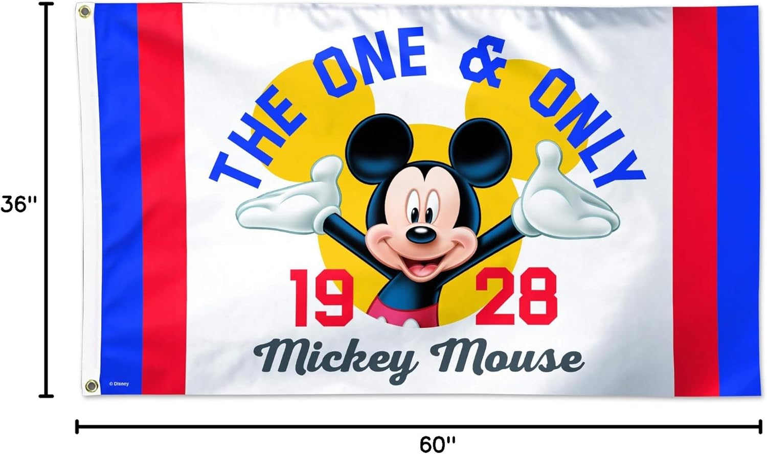 Disney 3'x5' Deluxe Flag