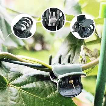 最終値下げ!植物サポート 園芸クリップ固定フォークプラントクリップ 約100個 楽天市場】植物サポート 園芸クリップ 固定フォーク 100個セット