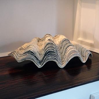 Treasure Gurus GIANT 22 CLAM SHELL tridacna gigas WHITE CLAMSHELL