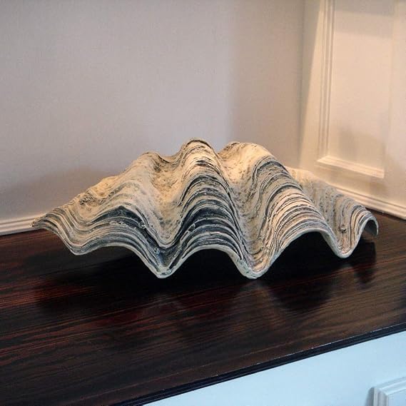Treasure Gurus GIANT 22 CLAM SHELL tridacna gigas WHITE CLAMSHELL