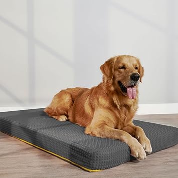SleepyCat Orthopedic Dog Bed, Splash Resistant (48x24 Inches, Grey, Large)