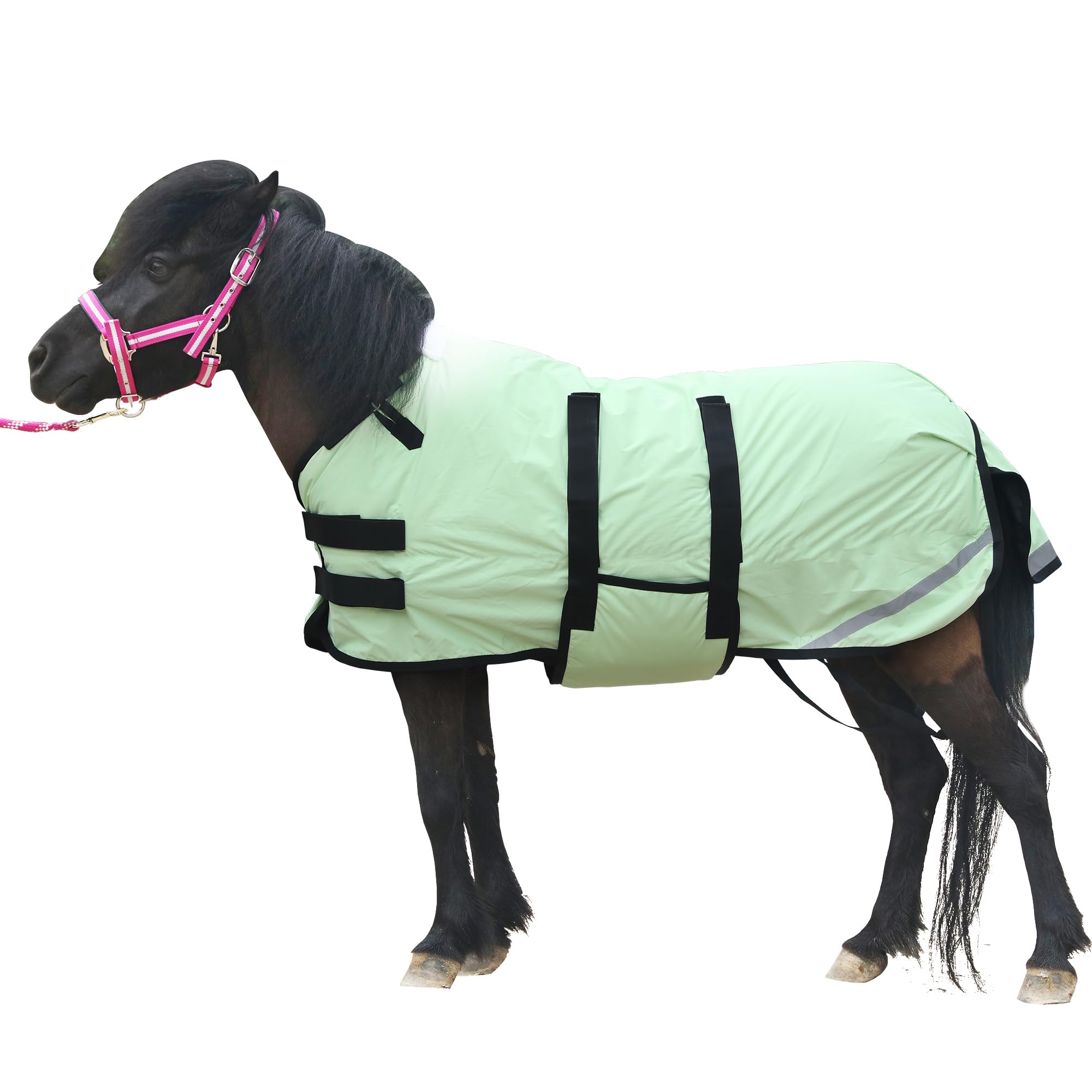 300D Foal/Mini/Pony Horse Blanket, 150g Waterproof Winter Turnout