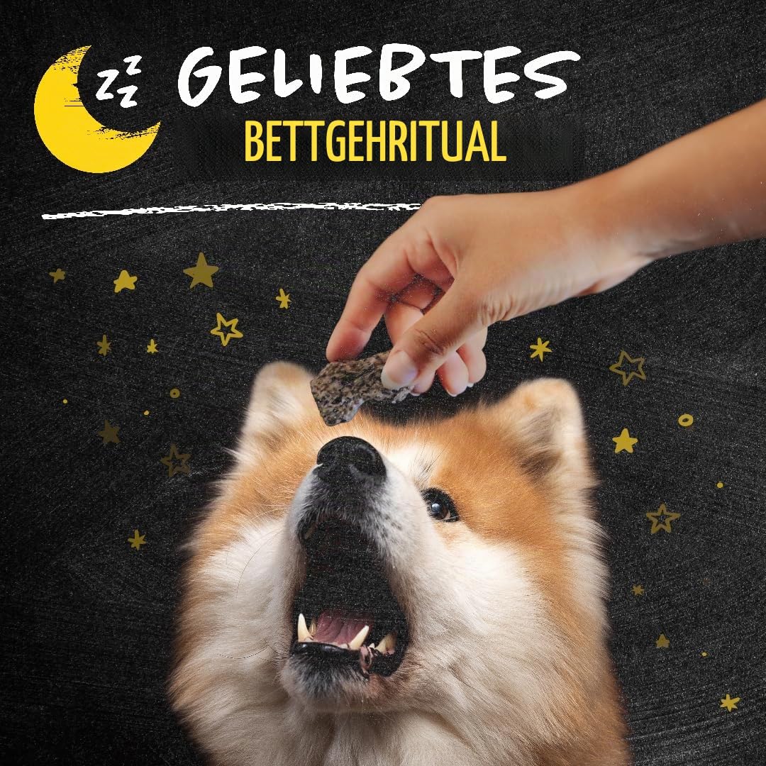 QCHEFS Glückskiste Dose Geschenk Hund Zahnpflege gegen Zahnstein Mundpflege | Mit Natur Zahnpflege, Auch gegen Zahnstein und Entzündungen
