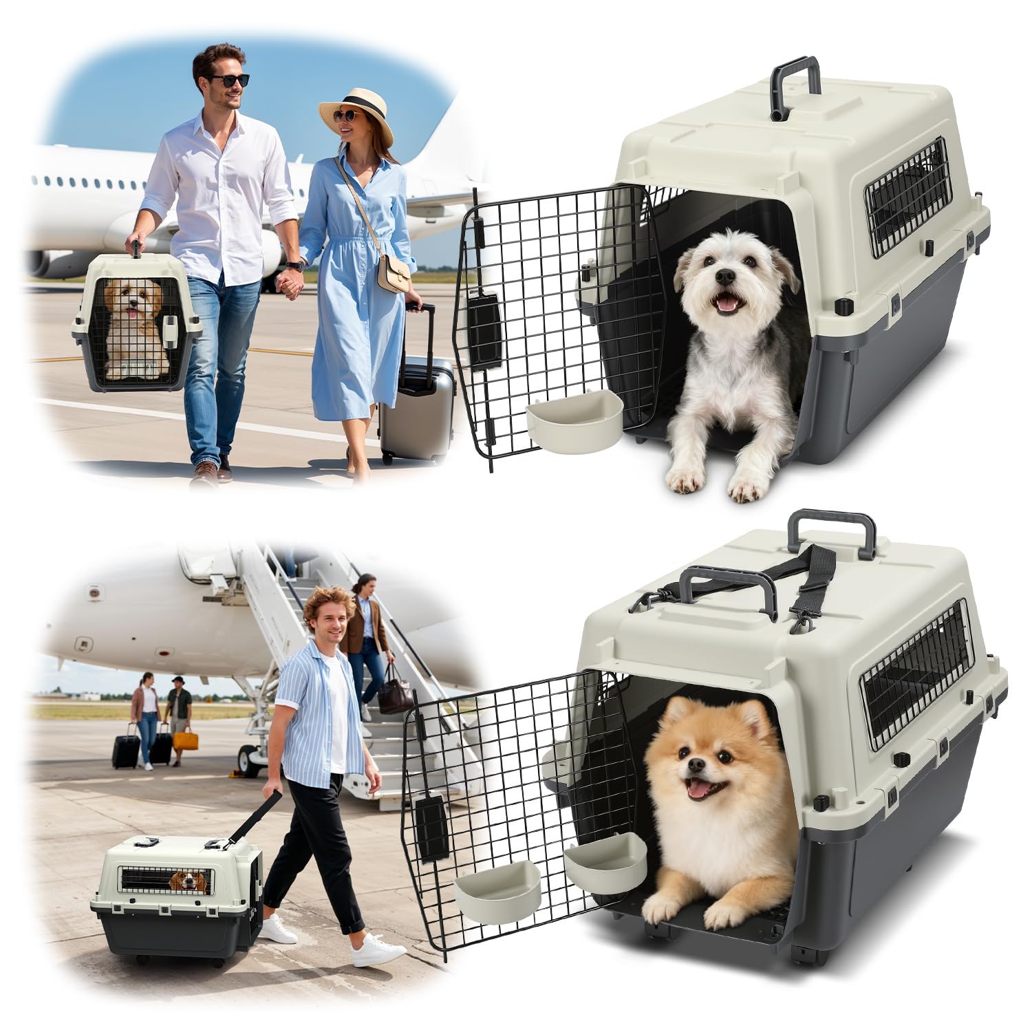 Pet Transportbox für Katzen, kleine Hunde & Nagetiere bis 10 kg, 60,4x42x39,8 cm, Leichte Hundetransportbox mit Metallgitter, Inkl. Grundausstattung