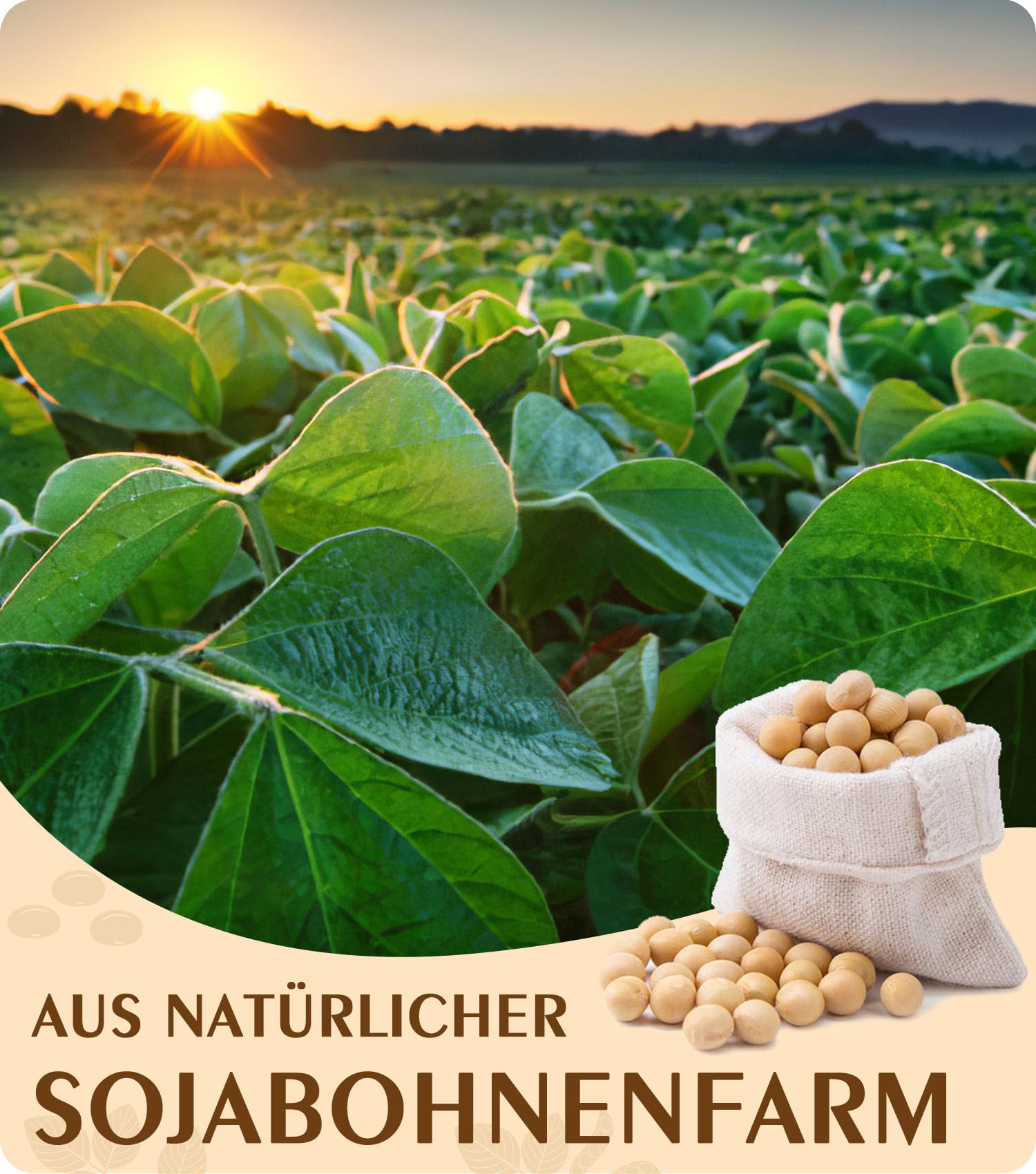 BOYUJK Flocons de cire de soja naturelle pour bougies 3 kg 100 % cire de soja pour la fabrication de bougies issues de l'agriculture biologique, sans additifs, inoffensif et pure