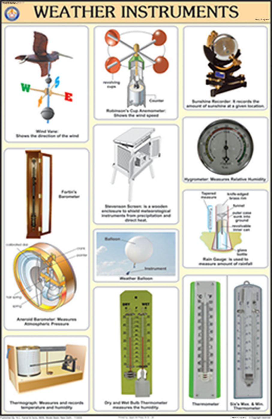 Buy Weather Instrument Chart (50x75cm) Online at desertcartINDIA