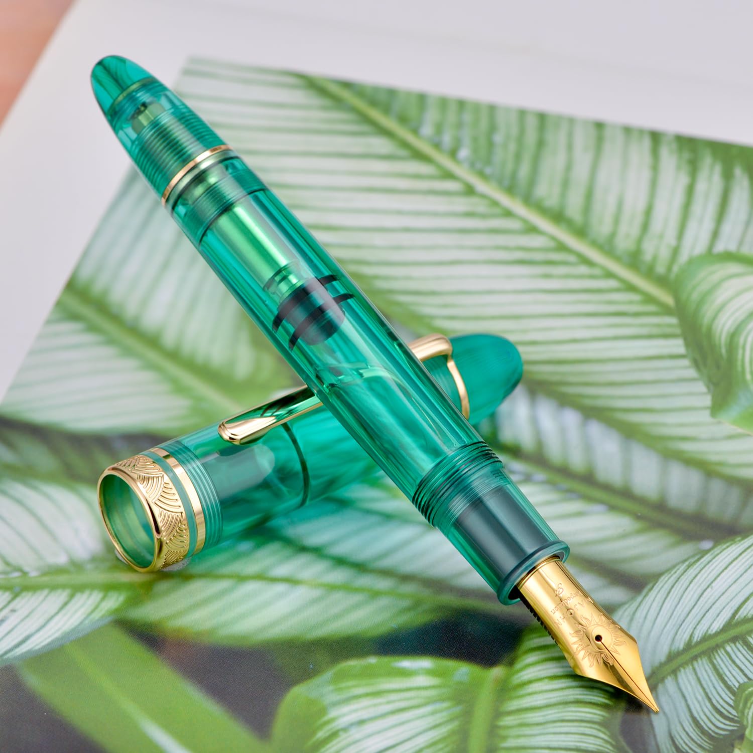 erofa Majohn P140 Pluma de pistón NO.8 Pluma media, gran capacidad Transparente Verde Acrílico Pluma de escritura Regalo con caja