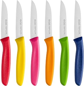 Stainless Steel Paring Knife Set (6 Pieces),Ultra Sharp Vegetable and Fruit Knife, Colorful Paring Knife with Straight Edge,Small Kitchen Knife with PP Plastic Ergonomic Handle,Multicolor