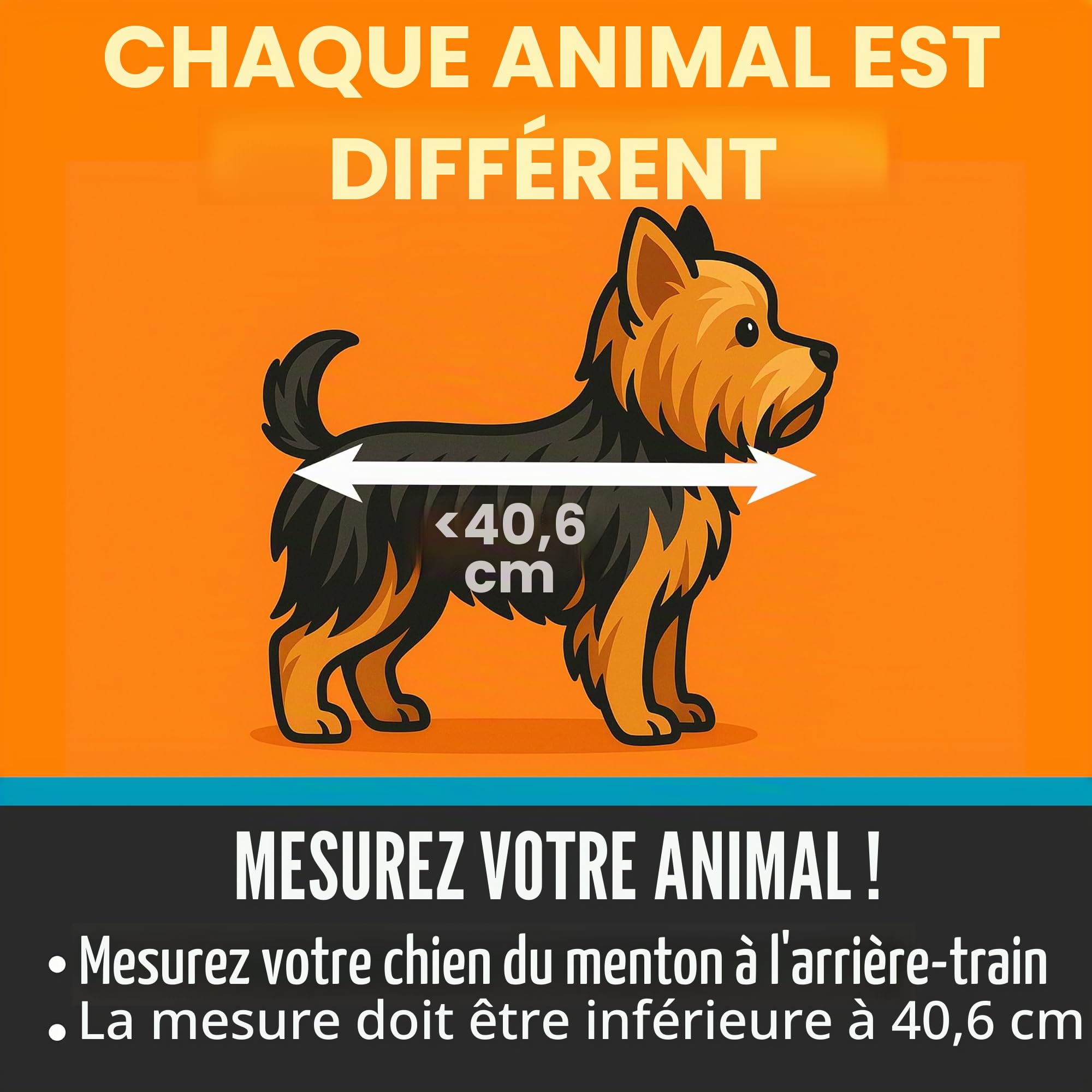K&H Pet Products Sac de Transport Universel pour Animal Domestique pour Voyage, Panier de vélo pour Chat et Chien, Gris élégant, Taille L 30,5 x 40,6 x 25,4 cm