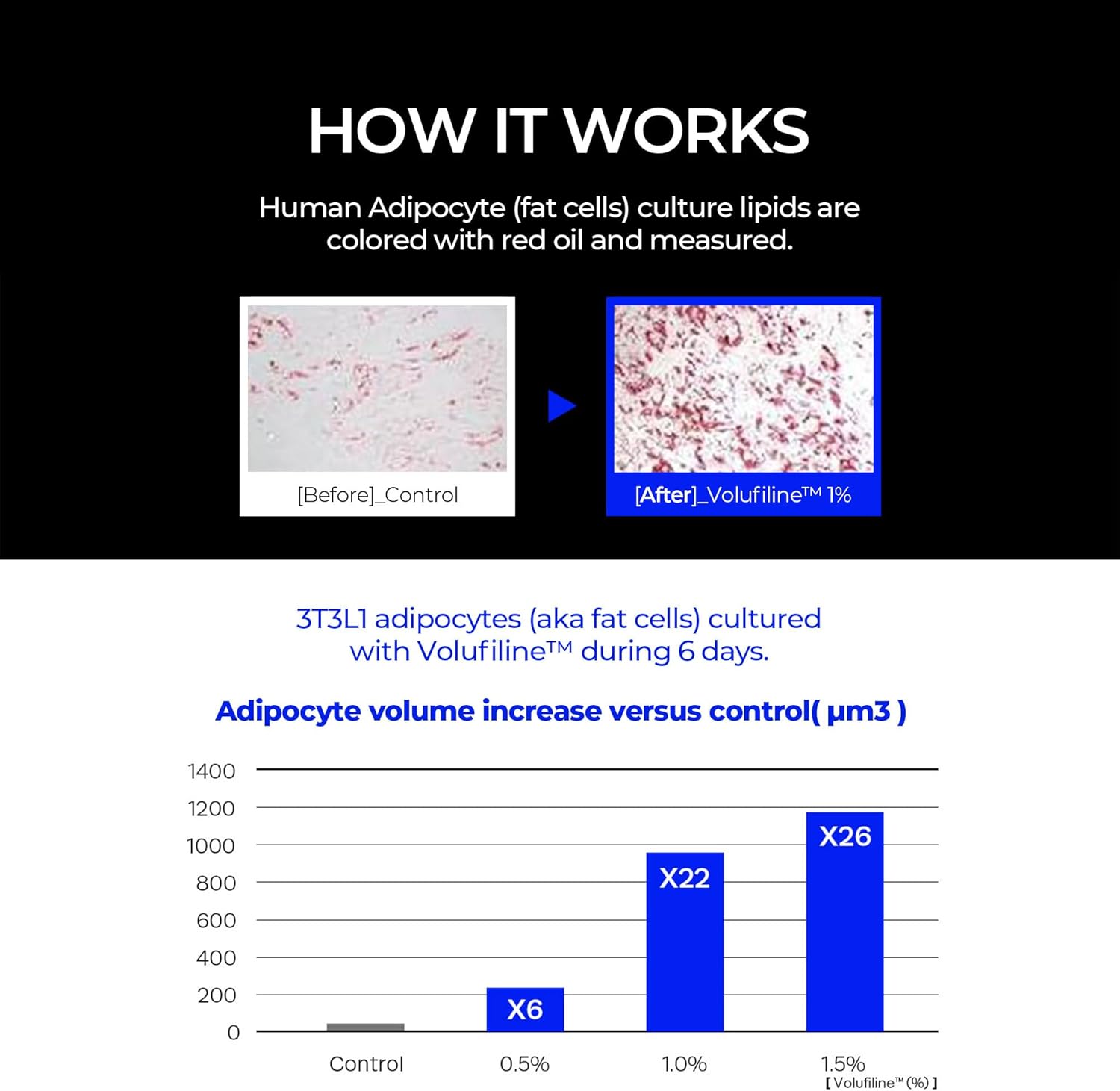HommeFace Advanced Age Defense 3-Step Anti-Aging Skincare Set for Men - Facial Serum, Eye Cream & Face Cream image 5 of 8 B09XC4HKRF