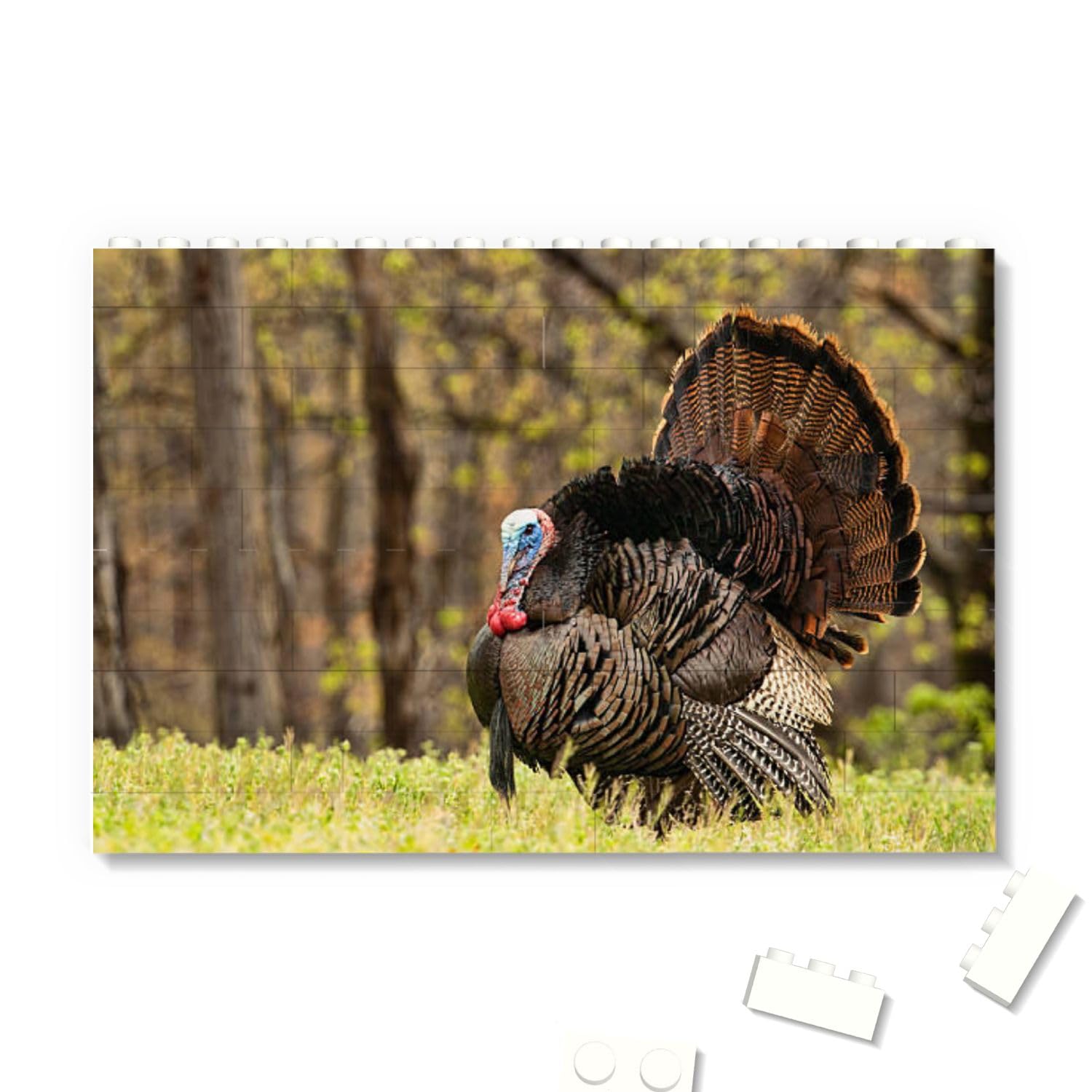 Building Bricks Blocks Puzzles Turkey Full Bluster Custom Personalized Photo Building Blocks Puzzles for Adult Kids DIY Gift Valentine's Day Birthday