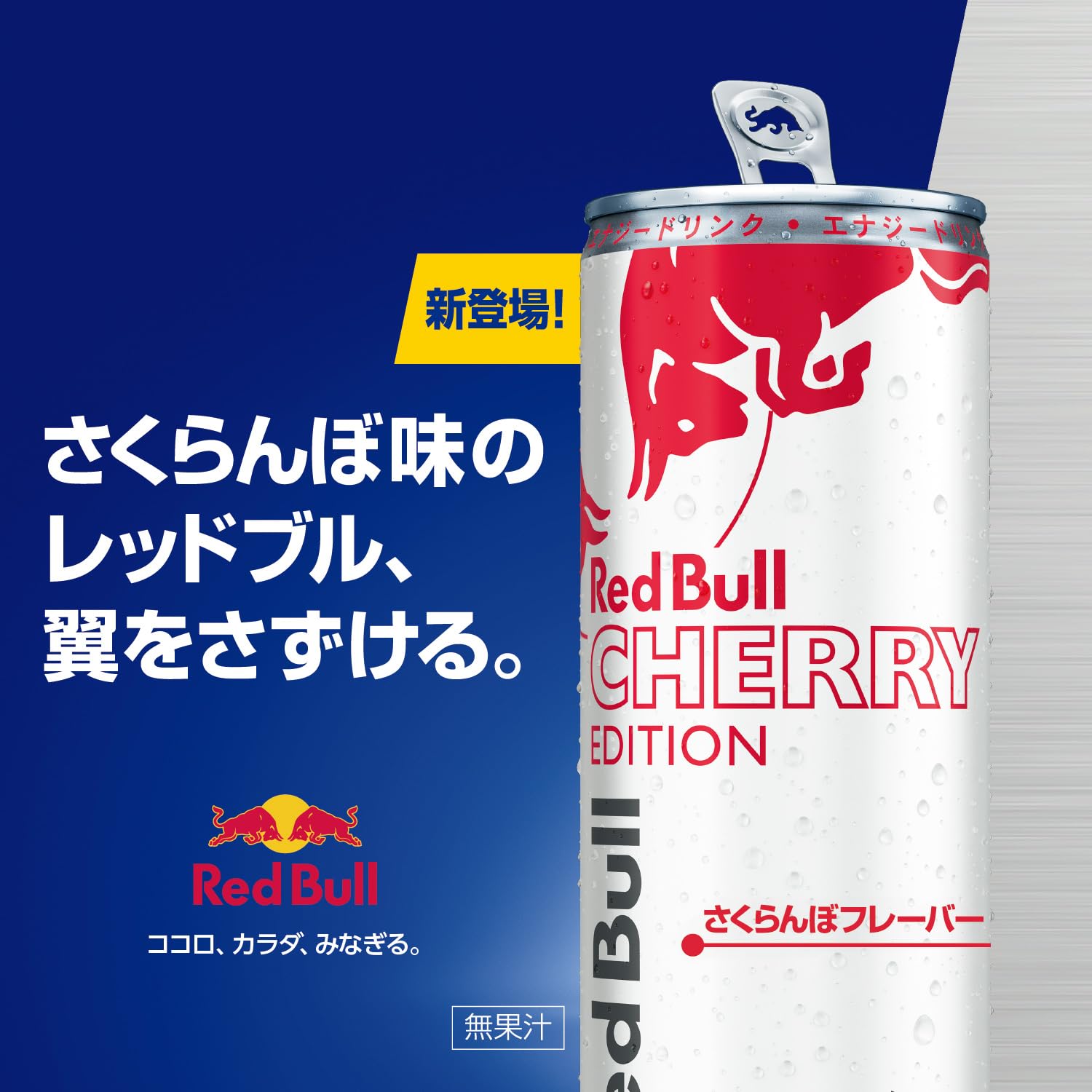 Amazon.co.jp: レッドブル: レッドブル・エディション