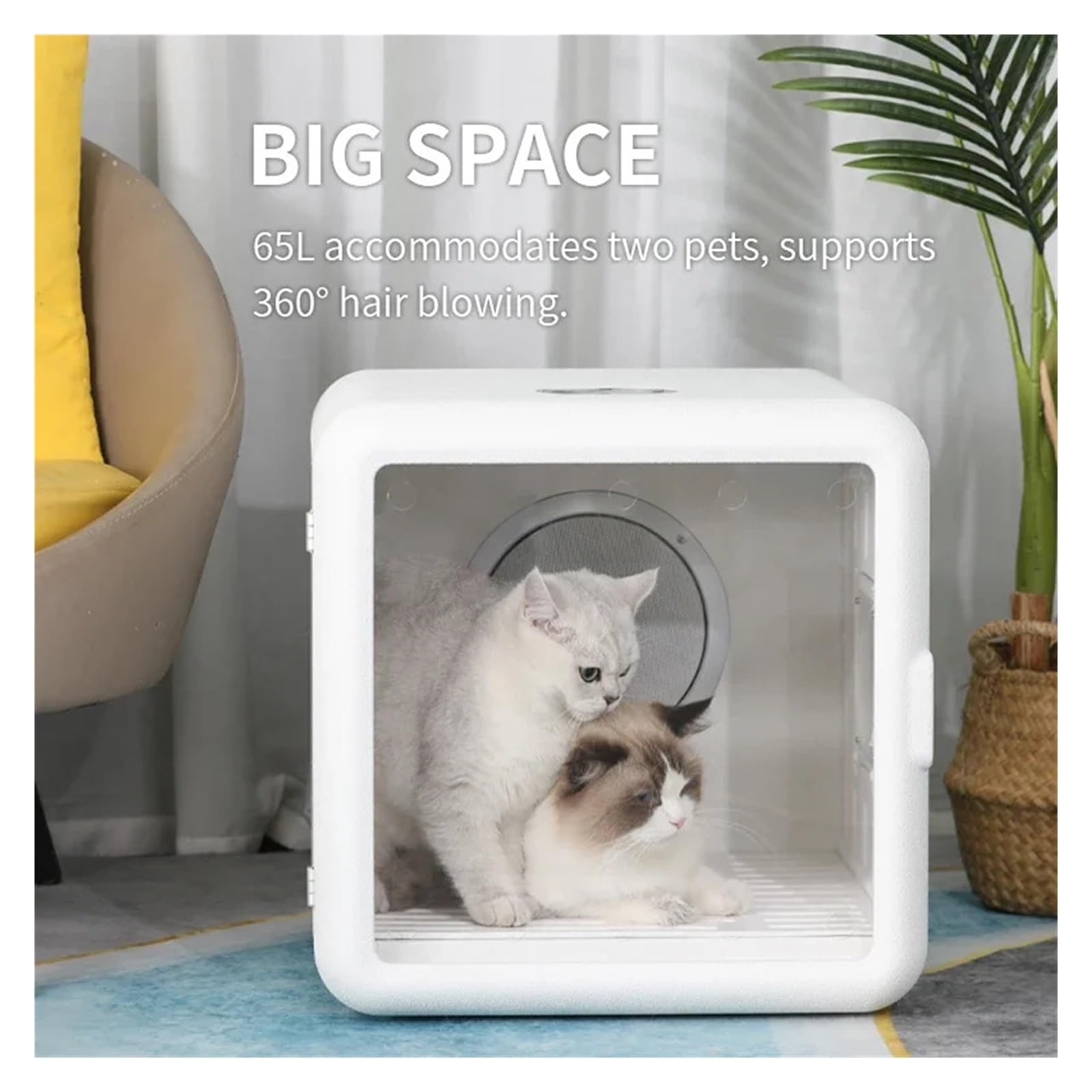 Smart Automatische Haustier Haar Trocknen Box Negative Ionen Intelligente Natürliche Wind Pflege Hund Katze Schnelltrocknend(Basic Version)