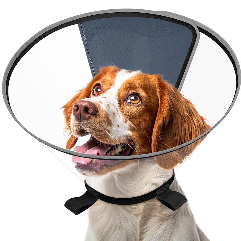 Colar elizabetano para cães médios Didopet transparente com pescoço acolchoado e faixa refletiva, Preto M (35,56–40,01 cm)