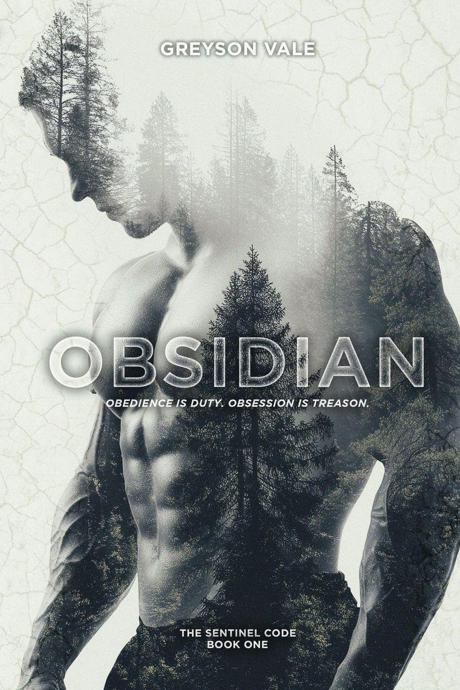 Obsidian: A Dark MM Romance: 1 (The Sentinel Code)