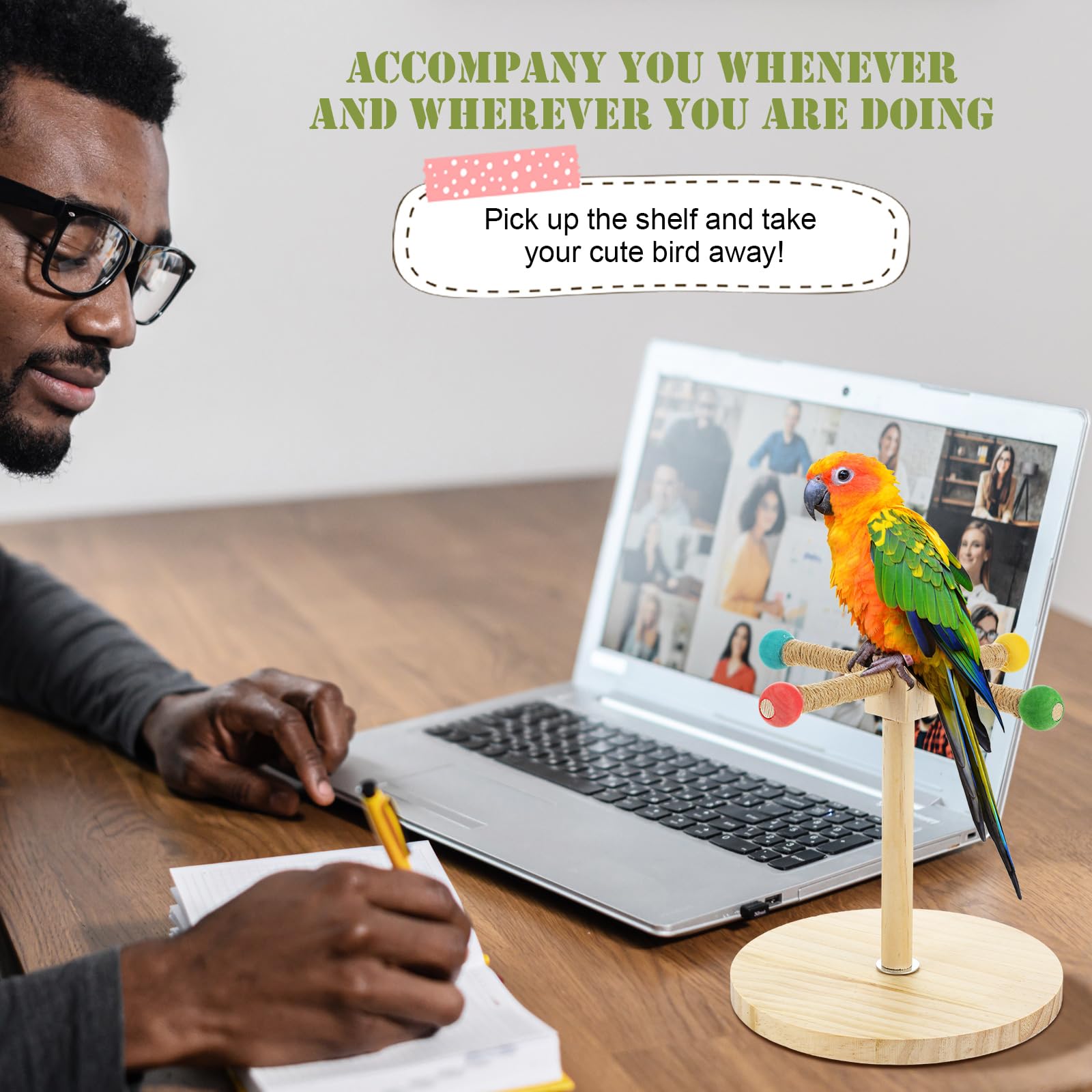 3-teiliges Vogel-Trainingsständer-Set, Papageien-Trainings-Clicker, tragbare Tisch-Vogelstange und Zielstab, Holz-Sitzstange mit Handschlaufe für Sittiche, Sittiche, Sittiche, Sittiche, Sittiche