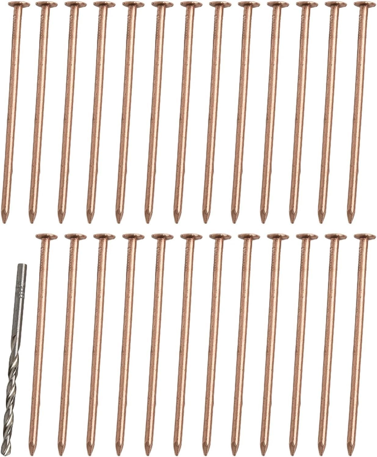 Chiodi in rame da 10,2 cm con punta da trapano, set di punte per la rimozione delle radici del ceppo, chiodi in rame per la rimozione di ceppi e radici (25 pezzi)