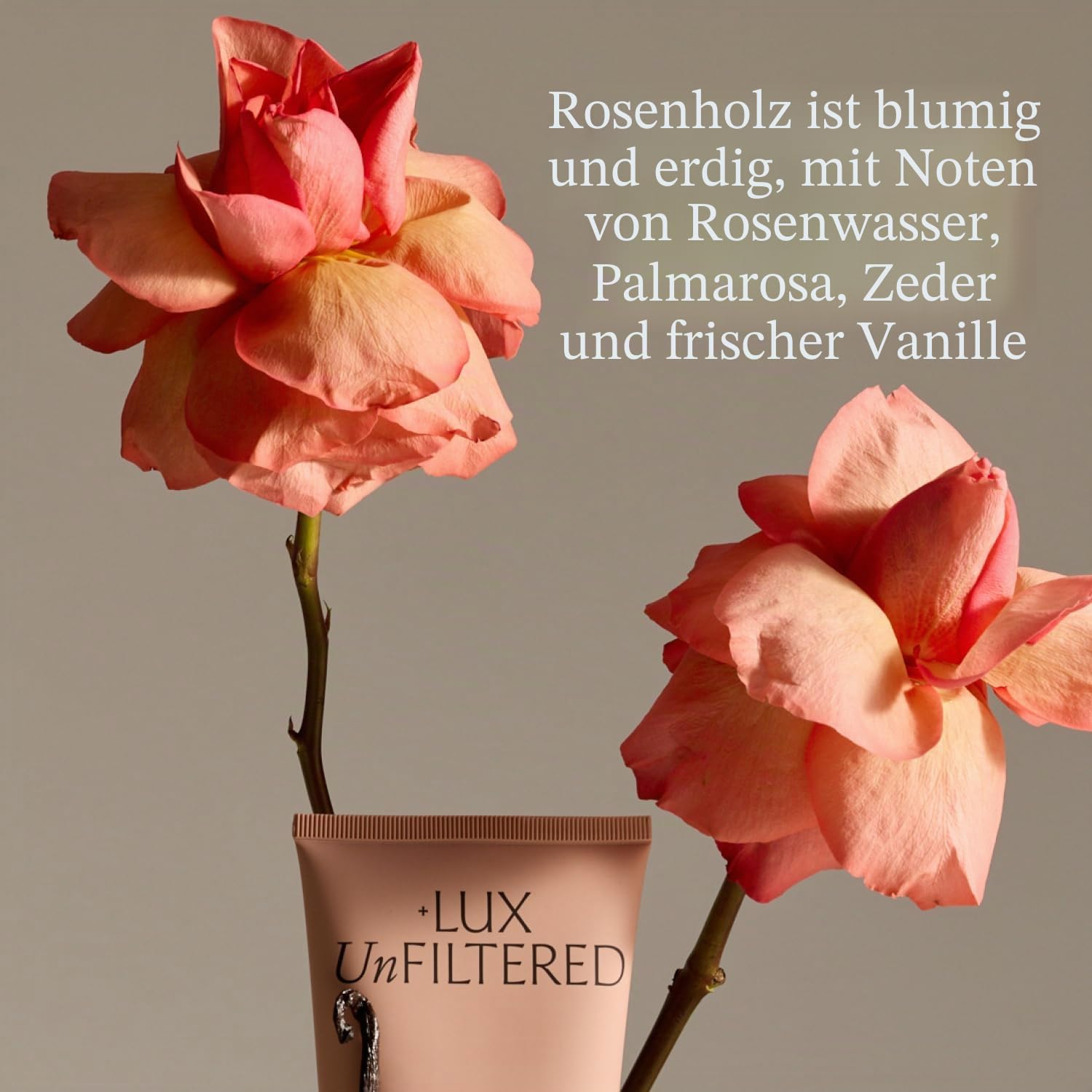 + Lux Unfiltered N°32 Graduell feuchtigkeitsspendender Selbstbräuner in Rosewood – Self Tanning Lotion with No Mess – Gradual Self Tanner – Self Tanners Bestsellers (Rosenholz)