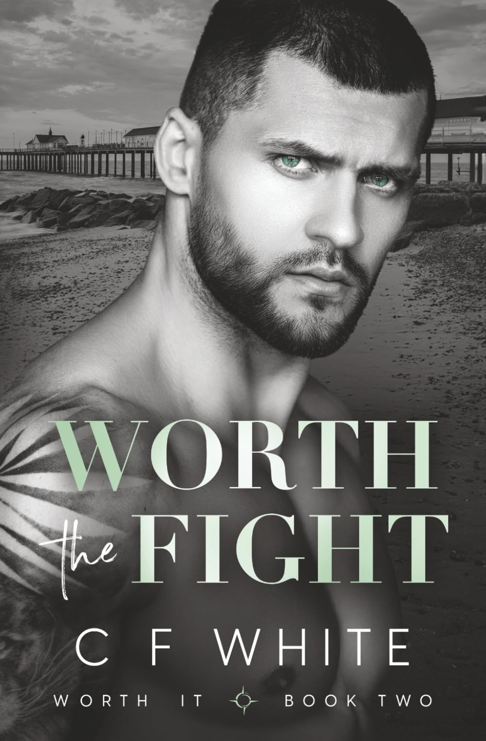 Worth the Fight (Worth It Book 2): MM Small Town Emergency Services Hurt/Comfort Romantic Suspense