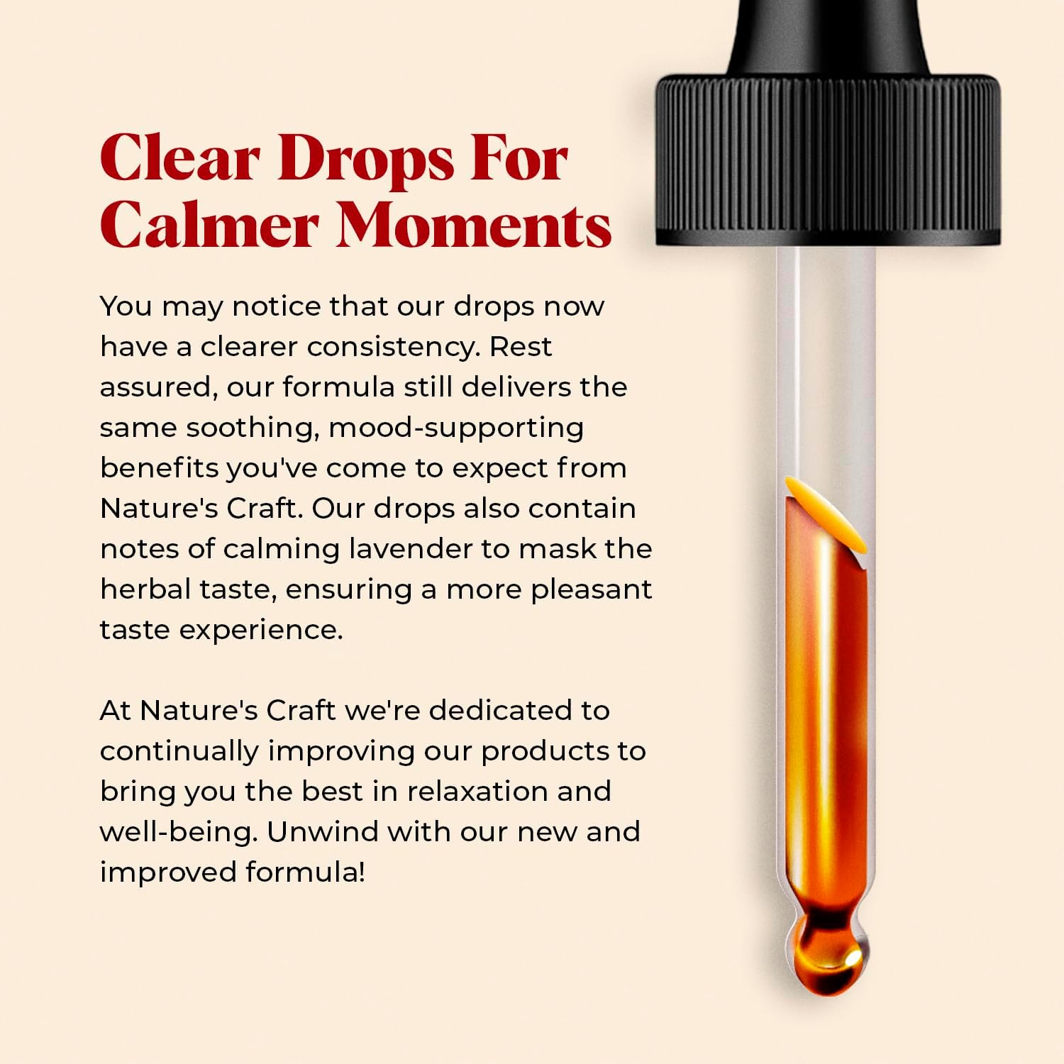 Amazing Botanicals Maitake Mushroom Extract – Liquid Maitake Supplement for Daily Wellness – Vegan, Alcohol-Free, Sugar-Free Drops – 1 fl oz - Image 4