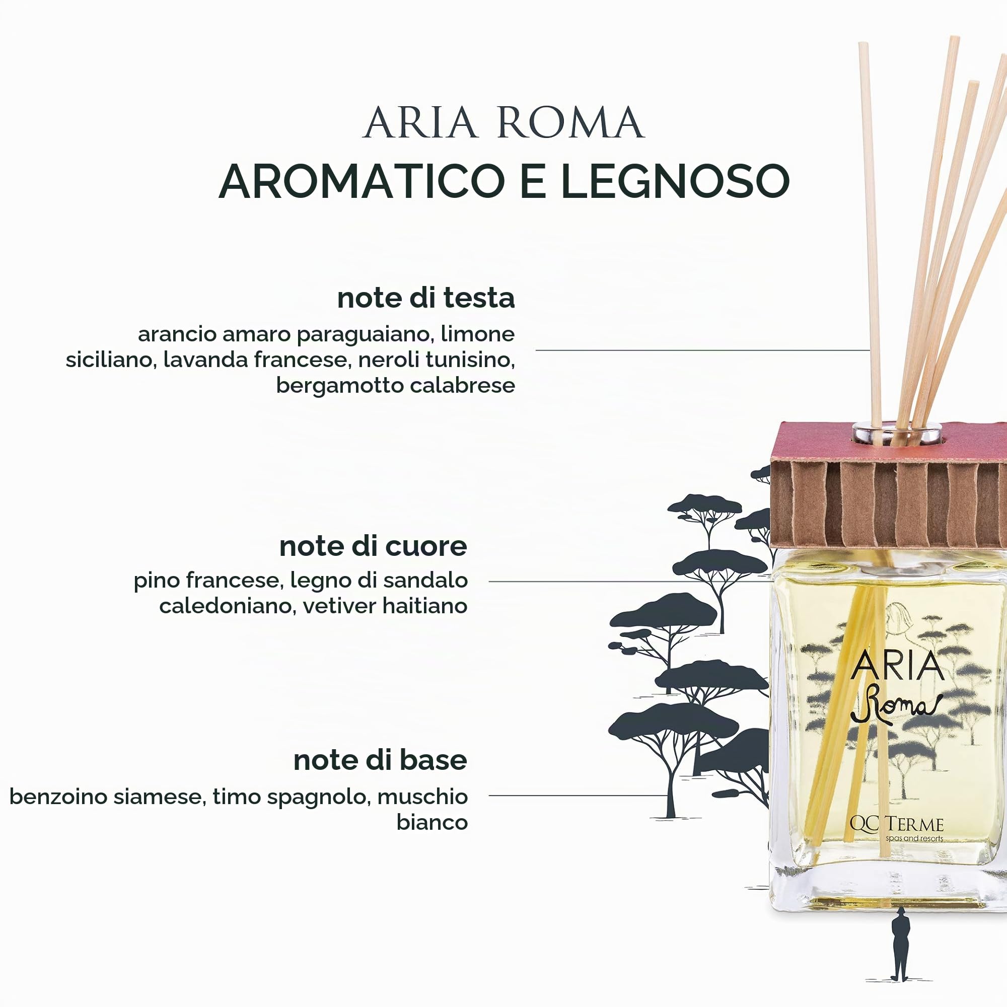 QC Terme ARIA ROMA, Profumatore per ambiente in vetro a bastoncini 250 ml, Fragranza mediterranea con note di bergamotto e legno di sandalo, Made in Italy