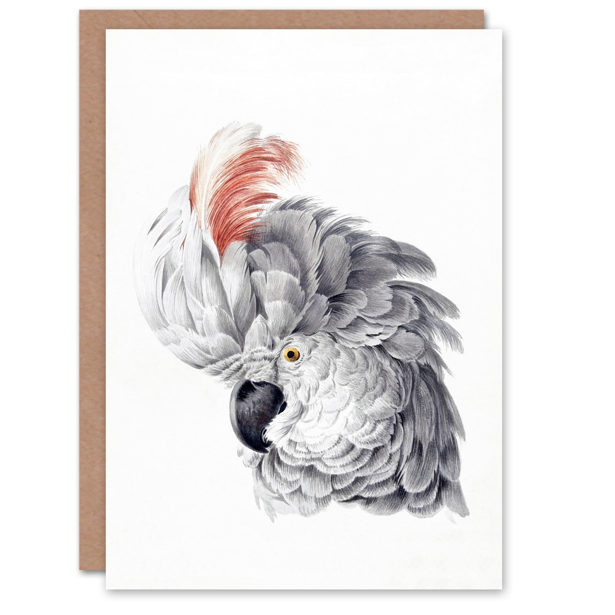 Artery8 Aert Schouman Art Card Cockatoo Parrot Head Watercolour