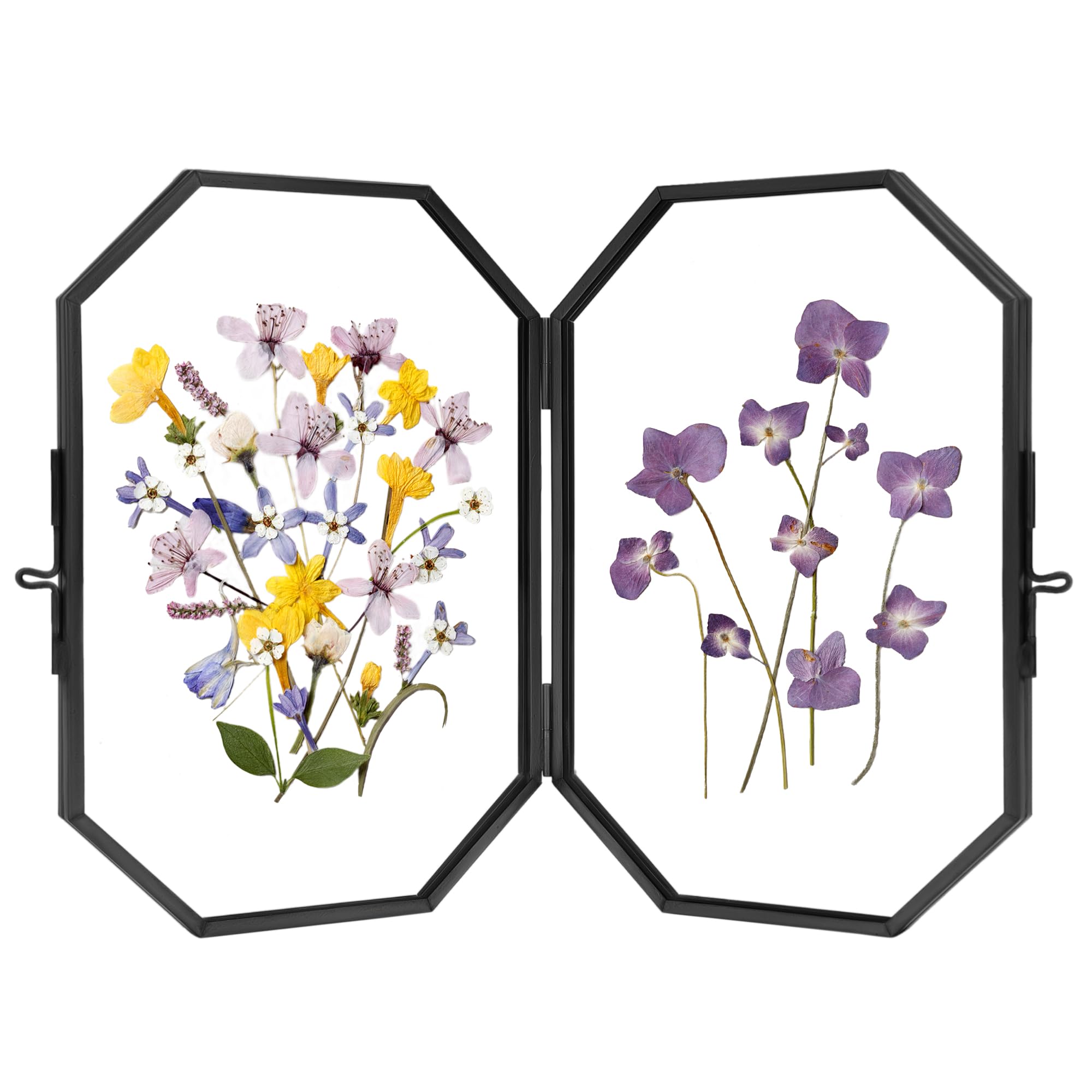 REDHUGODouble Glass Picture Frame Handmade, Glass Pressed Flower Frame, Hinged Tabletop Brass Photo Frames, Dried Flower Display Folding Frame for Home, Octagon, Black, 4×6 Inches