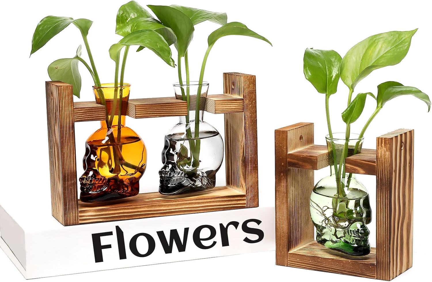 2+1 Plant Terrarium Plant Propagation Station Gifts for Father Halloween Skull Home Office Decor with Wooden Stand