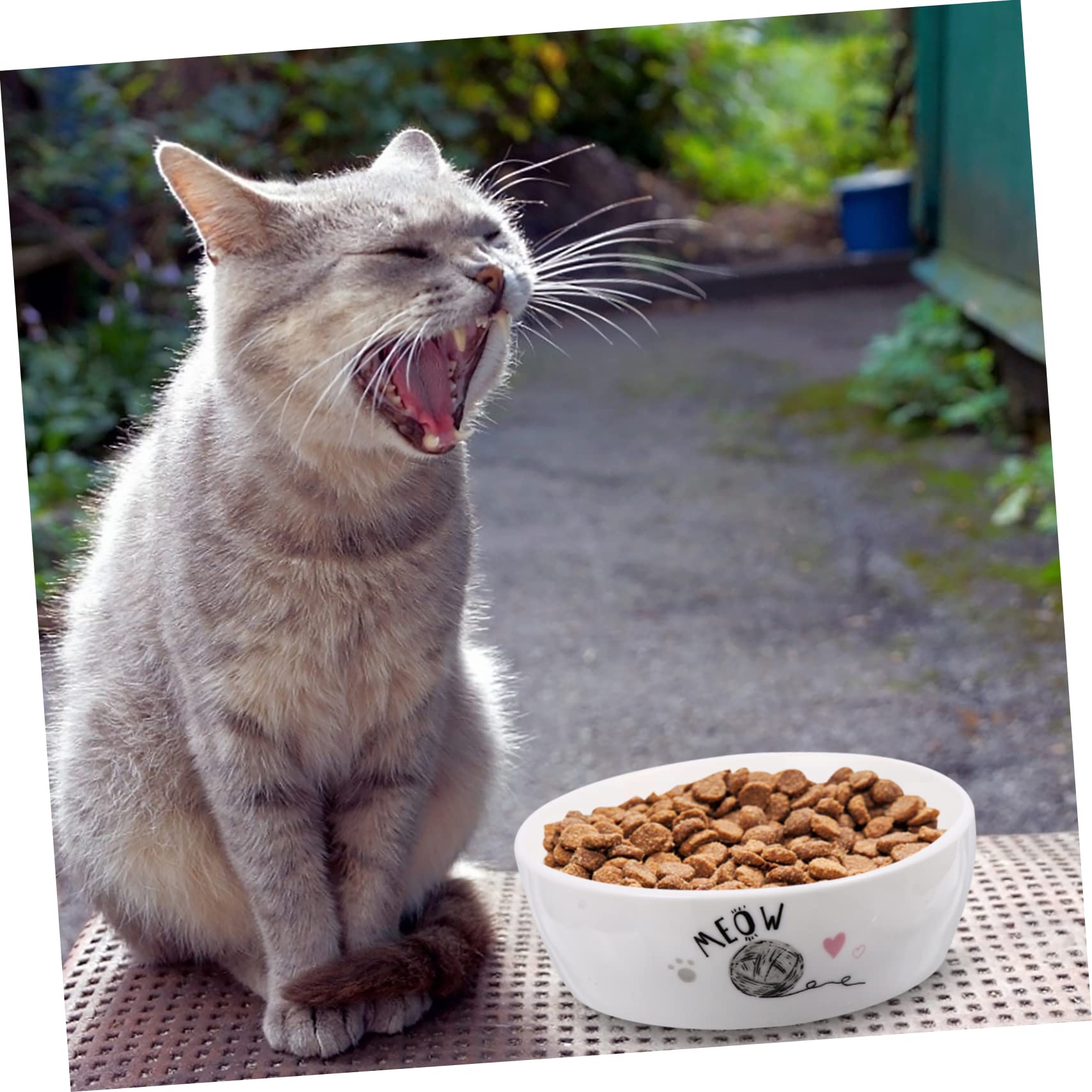 Comedero para Gatos de Cerámica con Diseño Adorable Cuenco Antideslizante para Alimentación y Agua Fácil de Limpiar para Gatitos y Mascotas Pequeñas