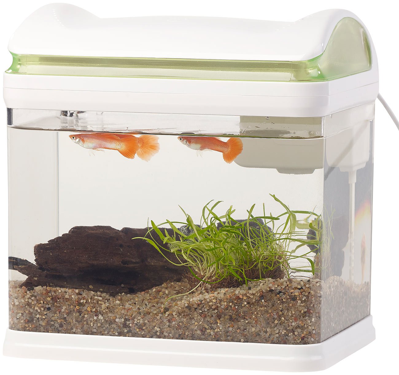 Aquarium: Transport-Fischbecken mit Filter, LED-Beleuchtung und USB, 3,3 Liter (Mini Aquarium, USB, Glas)
