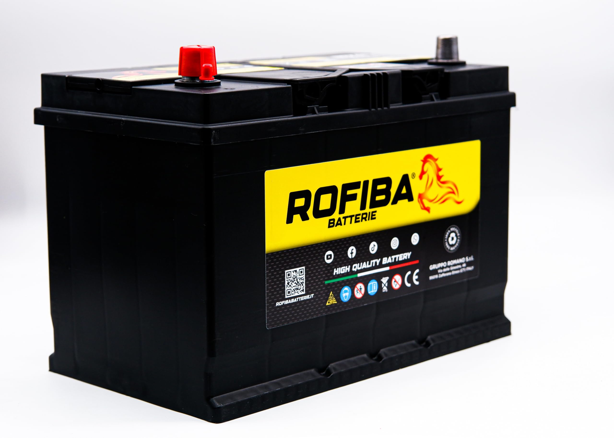 Rofiba Batteria per Trattore Truck D31 91Ah 12V Polo positivo Sinistro = G8 / 100 Ah 95 Ah EB955