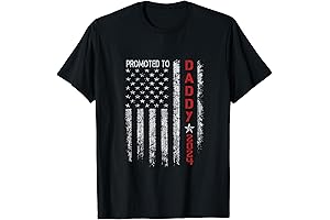 Patriotic Mens Promoted To Daddy Est 2024 First Time Dad T-Shirt