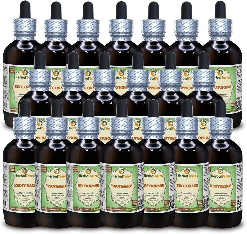 Knotgrass (Polygonum aviculare) Glycerite, Dried Herb Alcohol-Free Liquid Extract (Brand Name: HerbalTerra, Proudly Made in USA) 4x4 fl.oz (4x120 ml)